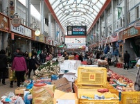 느긋하게 즐기는 가을의 양양산책 | 두피디아 여행기 두피디아 여행기-느긋하게 즐기는 가을의 양양산책