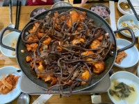 제주 비올때 가면 좋은 동쪽코스 -3- | 두피디아 여행기 두피디아 여행기-제주 비올때 가면 좋은 동쪽코스 -3-