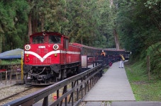 대만에서 만나는 고산지대 아리산 | 두피디아 여행기 두피디아 여행기-대만에서 만나는 고산지대 아리산