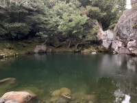 요정의 집과 고살리숲길 속괴 | 두피디아 여행기 두피디아 여행기-요정의 집과 고살리숲길 속괴