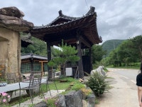 삼척카페 투어 모음 - 강원특별자치도 여행기 | 두피디아 여행기 삼척카페 투어 모음 - 강원특별자치도 여행기