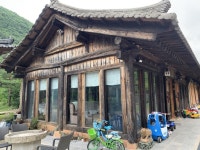 삼척카페 투어 모음 - 강원특별자치도 여행기 | 두피디아 여행기 삼척카페 투어 모음 - 강원특별자치도 여행기