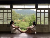 초록빛의 추억, 매암제다원 | 두피디아 여행기 두피디아 여행기-초록빛의 추억, 매암제다원