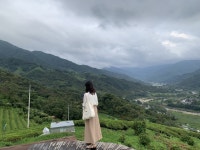 하동, 노을이 스며드는 정금다원 | 두피디아 여행기 두피디아 여행기-하동, 노을이 스며드는 정금다원