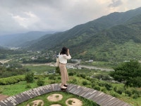 하동, 노을이 스며드는 정금다원 | 두피디아 여행기 두피디아 여행기-하동, 노을이 스며드는 정금다원