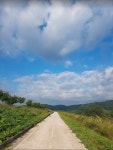 자전거 국토종주, 새재- 낙동강 종주 3편 | 두피디아 여행기 두피디아 여행기-자전거 국토종주, 새재- 낙동강 종주 3편