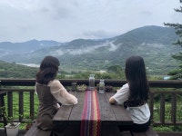 하동 가성비 감성숙소, 도시고양이생존연구소 | 두피디아 여행기 두피디아 여행기-하동 가성비 감성숙소, 도시고양이생존연구소