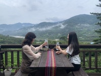 하동 가성비 감성숙소, 도시고양이생존연구소 - 하동군 여행기 | 두피디아 여행기 하동 가성비 감성숙소, 도시고양이생존연구소 - 하동군 여행기