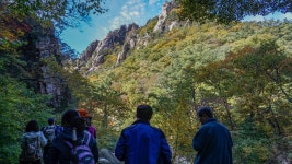 설악산 주전골따라 오색약수 산행 | 두피디아 여행기 두피디아 여행기-설악산 주전골따라 오색약수 산행