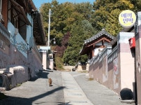 유유자적 걸어보는 예끼마을 2편 : 선성 수상길 | 두피디아 여행기 두피디아 여행기-유유자적 걸어보는 예끼마을 2편 : 선성 수상길