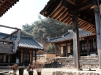 안동하회마을 겸암정사와 화천서원 | 두피디아 여행기 두피디아 여행기-안동하회마을 겸암정사와 화천서원