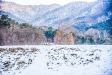 물멍과 불멍 불장골 저수지와 엔학고레 | 두피디아 여행기 두피디아 여행기-물멍과 불멍 불장골 저수지와 엔학고레