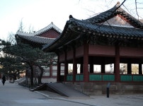 덕수궁 산책 | 두피디아 여행기 두피디아 여행기-덕수궁 산책