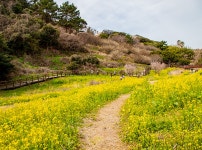 제주 중문관광단지 한바퀴 | 두피디아 여행기 두피디아 여행기-제주 중문관광단지 한바퀴
