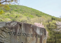 차령산맥의 봄, 성주산자연휴양림 | 두피디아 여행기 두피디아 여행기-차령산맥의 봄, 성주산자연휴양림