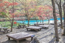 차령산맥의 봄, 성주산자연휴양림 | 두피디아 여행기 두피디아 여행기-차령산맥의 봄, 성주산자연휴양림