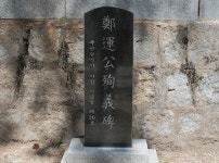 자연이 만든 황홀한 풍경, 몰운대와 고우니 생태길 | 두피디아 여행기 두피디아 여행기-자연이 만든 황홀한 풍경, 몰운대와 고우니 생태길