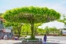 놀이공원과 사파리를 한번에, 대전 오월드 | 두피디아 여행기 두피디아 여행기-놀이공원과 사파리를 한번에, 대전 오월드