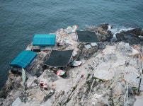 다누비 열차 타고 태종대 한 바퀴 | 두피디아 여행기 두피디아 여행기-다누비 열차 타고 태종대 한 바퀴