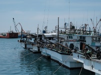 뚜벅이 여행자에게 제주도 여행은? & 모슬포항 풍경 | 두피디아 여행기 두피디아 여행기-뚜벅이 여행자에게 제주도 여행은? & 모슬포항 풍경