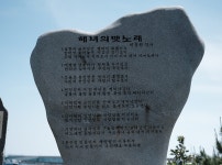 제주 최남단해안로 따라 느긋하게 걸어보기 | 두피디아 여행기 두피디아 여행기-제주 최남단해안로 따라 느긋하게 걸어보기