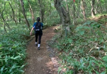 한라산: 죽음의 관음사 코스 (4) | 두피디아 여행기 두피디아 여행기-한라산: 죽음의 관음사 코스 (4)