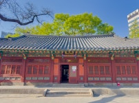 조계사 불교중앙박물관 수보회향 기획전 | 두피디아 여행기 두피디아 여행기-조계사 불교중앙박물관 수보회향 기획전
