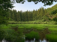 사슴이 물을 마시러 오는 영아리오름 행기소 | 두피디아 여행기 두피디아 여행기-사슴이 물을 마시러 오는 영아리오름 행기소