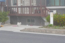 해파랑길 백패킹 - 울진(1) | 두피디아 여행기 두피디아 여행기-해파랑길 백패킹 - 울진(1)