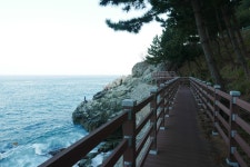 해파랑길 백패킹 - 영덕 블루 로드(2) | 두피디아 여행기 두피디아 여행기-해파랑길 백패킹 - 영덕 블루 로드(2)