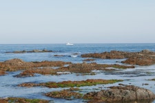 해파랑길 백패킹 - 포항(4) | 두피디아 여행기 두피디아 여행기-해파랑길 백패킹 - 포항(4)