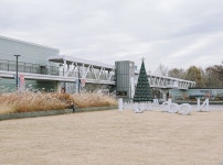 노들섬에서 즐기는 연말, 노들 윈터페스타 풍경은? | 두피디아 여행기 두피디아 여행기-노들섬에서 즐기는 연말, 노들 윈터페스타 풍경은?