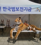 2015 동물보호문화축제 | 두피디아 여행기 두피디아 여행기-2015 동물보호문화축제