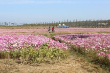 강릉 당일치기 여행 | 두피디아 여행기 두피디아 여행기-강릉 당일치기 여행