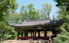 강원도 영월역 다슬기 해장국 거리 | 두피디아 여행기 두피디아 여행기-강원도 영월역 다슬기 해장국 거리