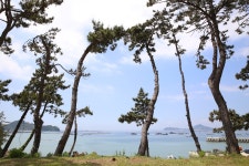 황토나라 테마촌 둘러보기 | 두피디아 여행기 두피디아 여행기-황토나라 테마촌 둘러보기