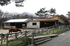 나스여행! 미나미가오카목장으로 슝슝~ | 두피디아 여행기 두피디아 여행기-나스여행! 미나미가오카목장으로 슝슝~