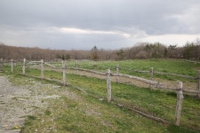 나스여행! 미나미가오카목장으로 슝슝~ | 두피디아 여행기 두피디아 여행기-나스여행! 미나미가오카목장으로 슝슝~