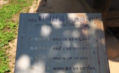 백운동 정원 | 두피디아 여행기 두피디아 여행기-백운동 정원