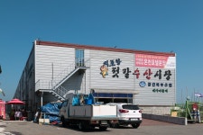 강화 주문도 | 두피디아 여행기 두피디아 여행기-강화 주문도