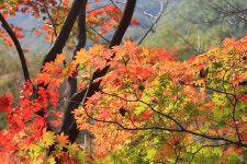 구례_피아골 걷기 | 두피디아 여행기 두피디아 여행기-구례_피아골 걷기