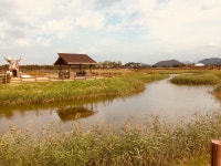 갯골생태공원 다녀왔어요 - 에누리 쇼핑지식 자유게시판 갯골생태공원 다녀왔어요 - 에누리 쇼핑지식