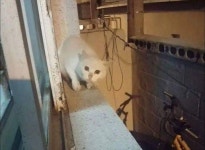 소문난 맛집.............. - 에누리 쇼핑지식 자유게시판 소문난 맛집.............. - 에누리 쇼핑지식