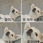 거지가 꿈이야 .......? - 에누리 쇼핑지식 자유게시판