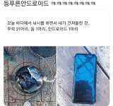 바다에서 낚시를 하면서 낚은 신어류 - 에누리 쇼핑지식 자유게시판 바다에서 낚시를 하면서 낚은 신어류 - 에누리 쇼핑지식