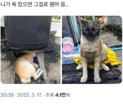 니가 푹잤으면 그걸로 됐어 응.. - 에누리 쇼핑지식 자유게시판