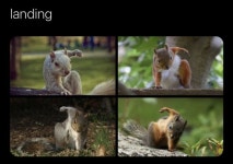 트위터 동물농장 ...... - 에누리 쇼핑지식 자유게시판