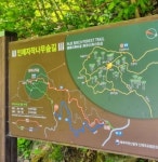 5월 가족여행으로 가볼만한 인제 자작나무숲^^& - 에누리 쇼핑지식 자유게시판