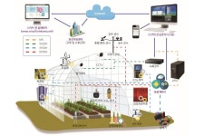 [김해시] ICT 융복합 시설원예 첨단화로 스마트팜 규모 늘려 外 | 일요신문 [김해시] ICT 융복합 시설원예 첨단화로 스마트팜 규모 늘려 外