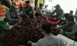 육군 20사단, 호국훈련 앞두고 지역 주민과 소통나서 | 일요신문  육군 20사단, 호국훈련 앞두고 지역 주민과 소통나서